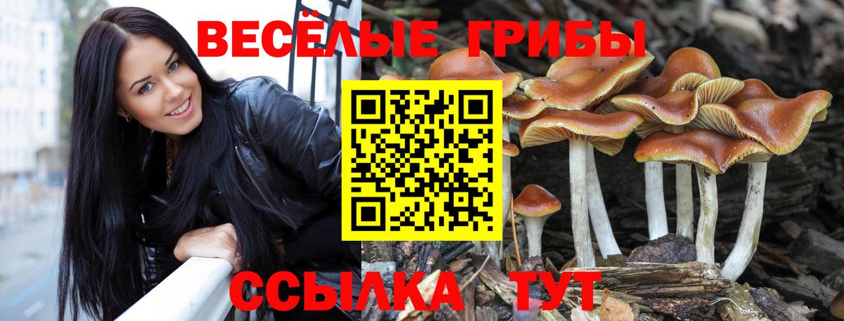 Псилоцибиновые грибы ЛСД  Вход с VPN  Нижнеудинск 